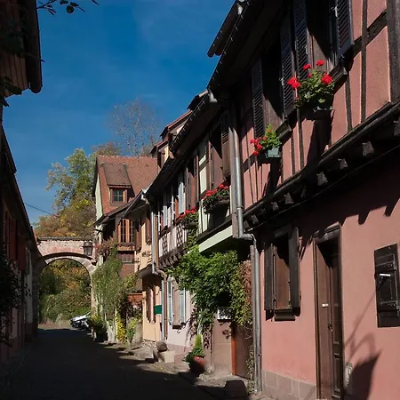 Jeanne * Kaysersberg-Vignoble