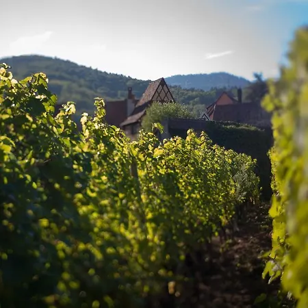 Jeanne Kaysersberg-Vignoble